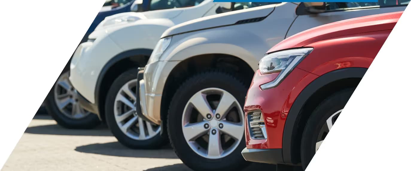 Dealer Lot